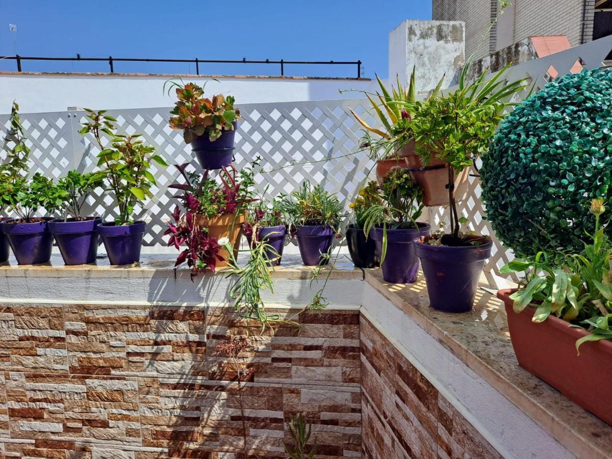 Atico Duplex Marques De Reyes Apartment Seville Exterior photo